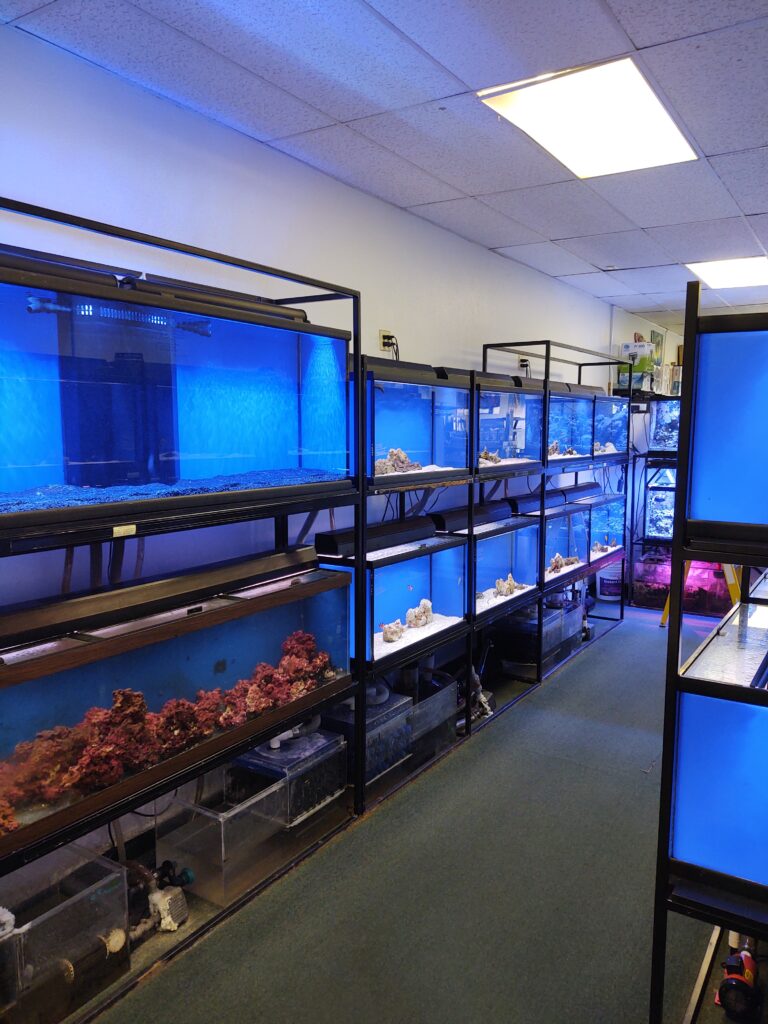 Seascape Aquatics Inc. – The Nicest Little Fish Store In The Springs